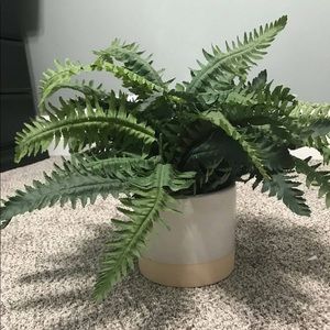 fake plant